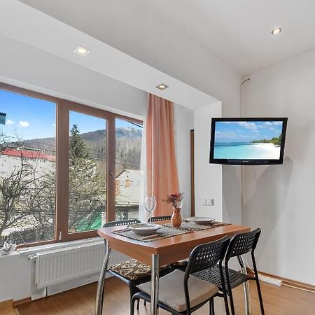Cozy Montain Studio Apartman Sinaia Kültér fotó