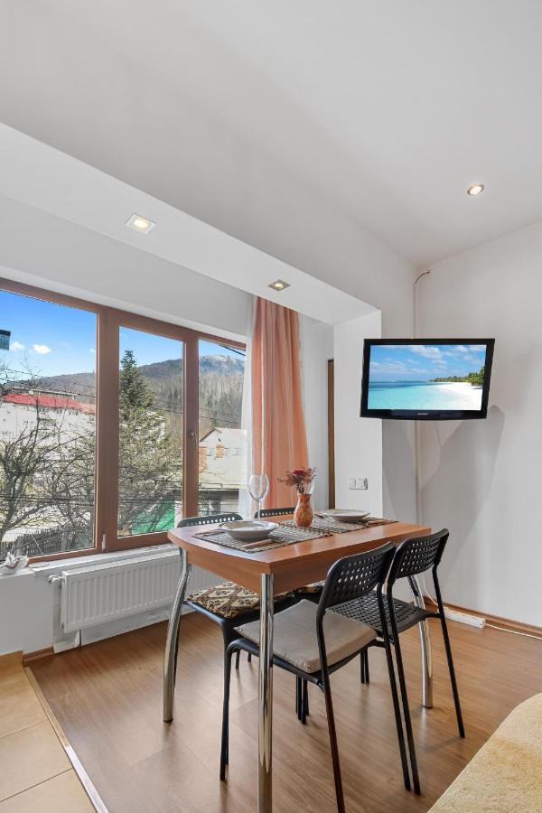Cozy Montain Studio Apartman Sinaia Kültér fotó